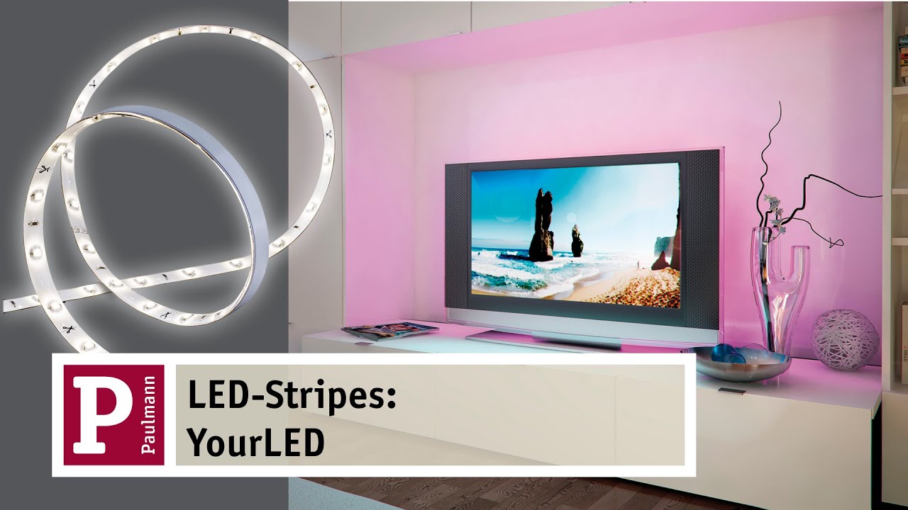 Paulmann Function YourLED ECO Clip Connector 50cm