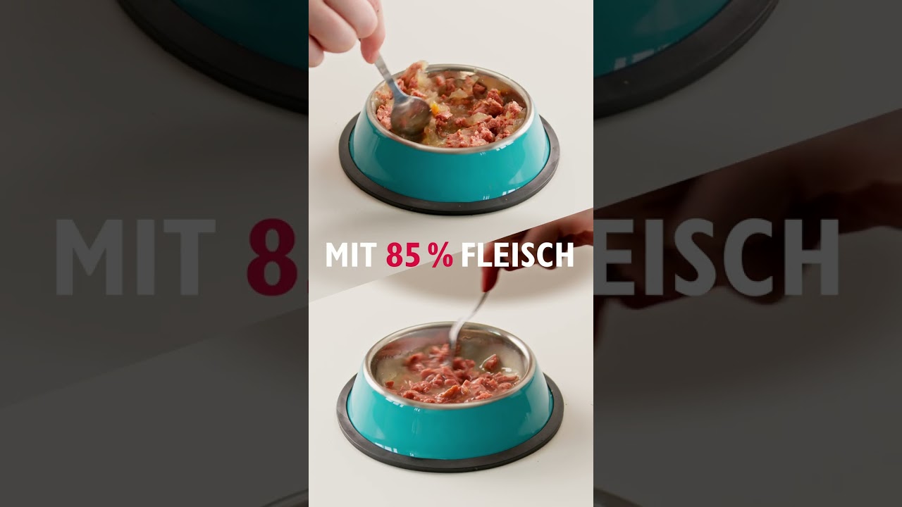 Vorschaubild Youtube-Video