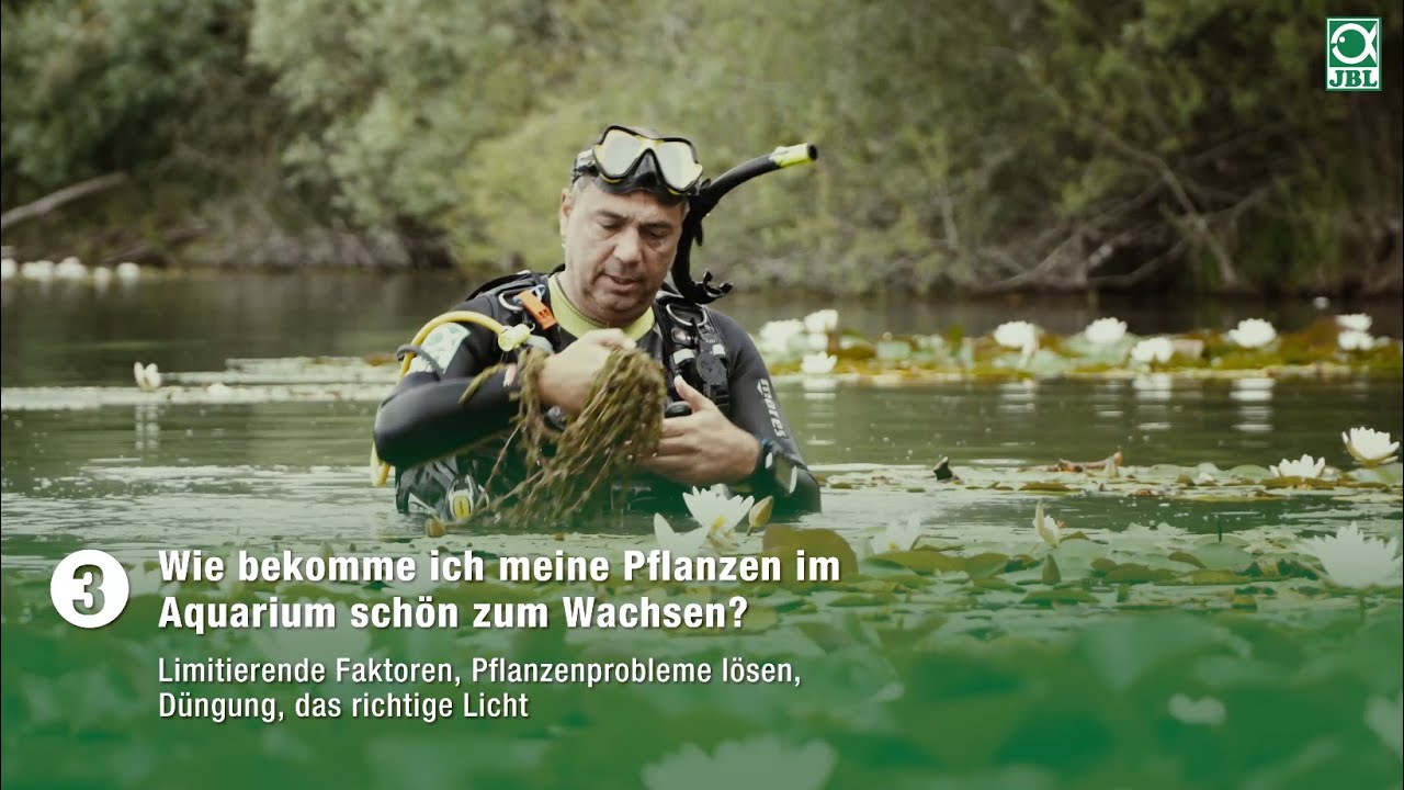 JBL PROFLORA AquaBasis plus 5l