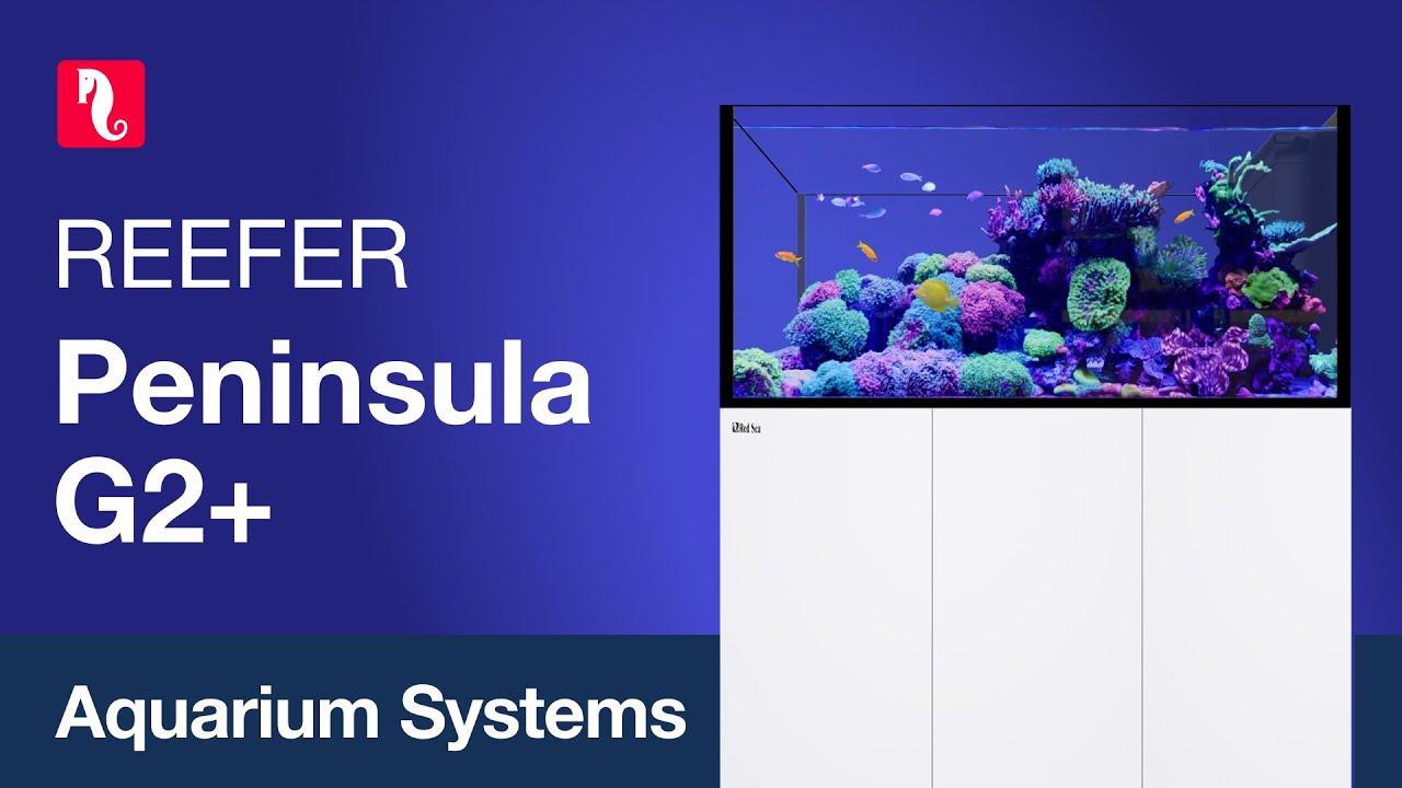 Red Sea REEFER™ Peninsula 500 G2+ Complete System