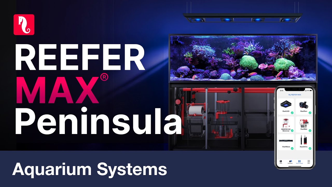 Red Sea REEFER™ MAX Peninsula S-500 G2+ System