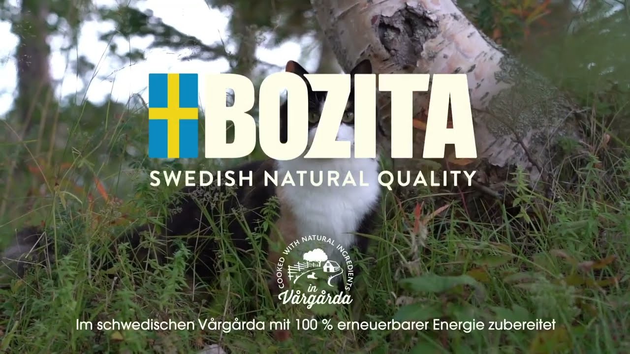 Vorschaubild Youtube-Video