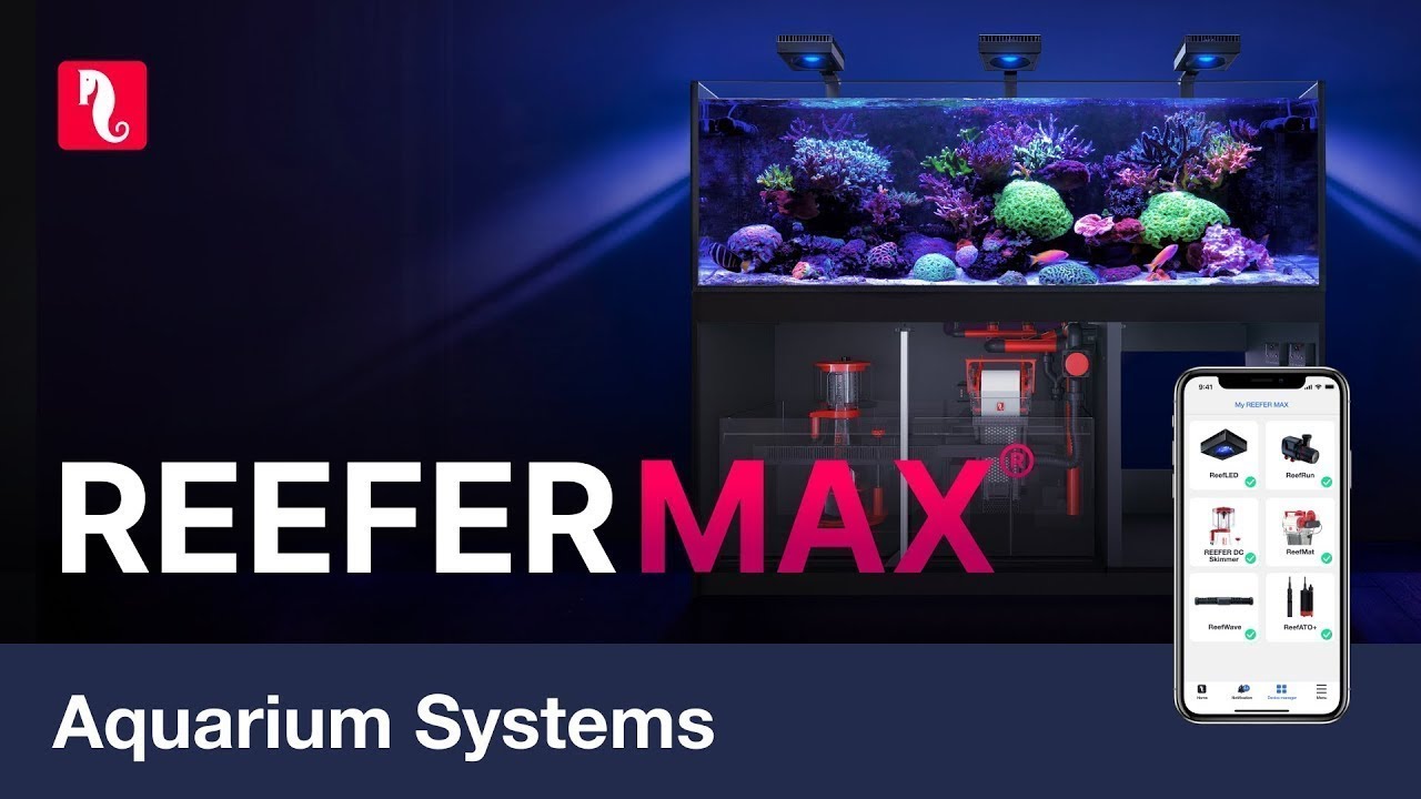 Red Sea REEFER MAX 250 G2+ System Aquarium mit Unterschrank