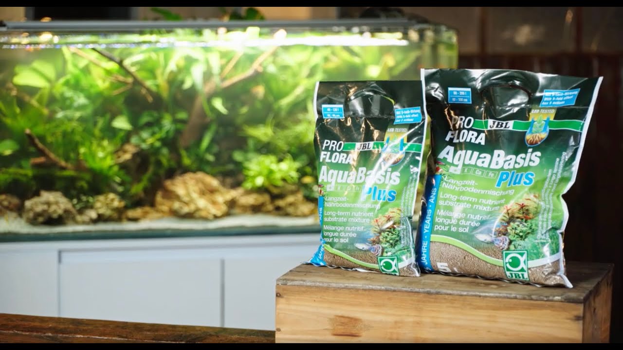 JBL PROFLORA AquaBasis plus 5l