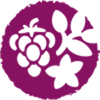 6204_kraeuter_und_fruechte